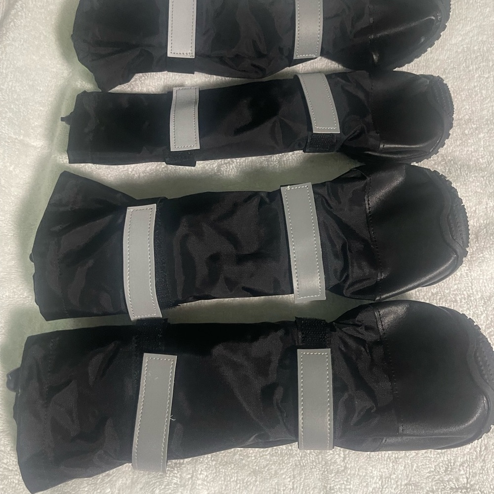 Black and Gray Dog Boots